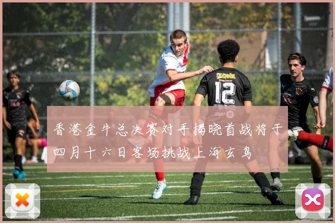 香港金牛总决赛对手揭晓首战将于四月十六日客场挑战上海玄鸟